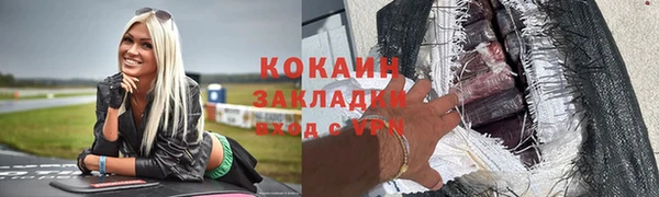 шишки Инта