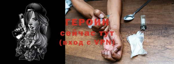 шишки Инта