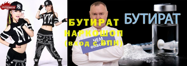 шишки Инта