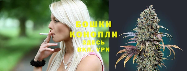 спиды Иннополис