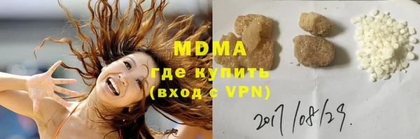шишки Инта