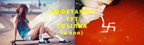 шишки Инта
