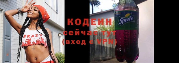 шишки Инта