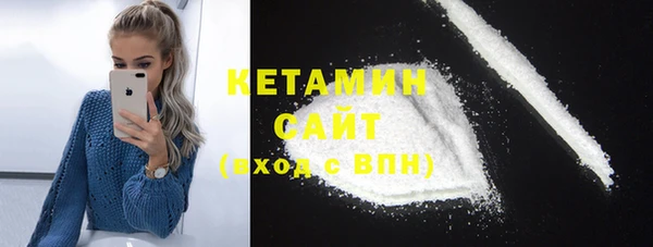 шишки Инта