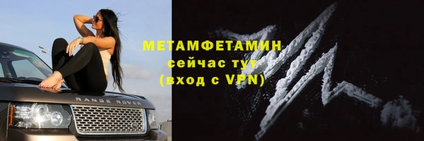 шишки Инта