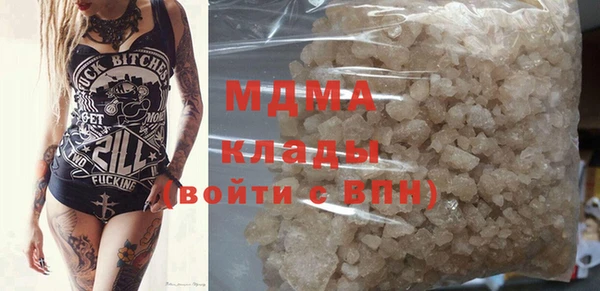 шишки Инта