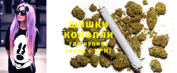 винт Инсар