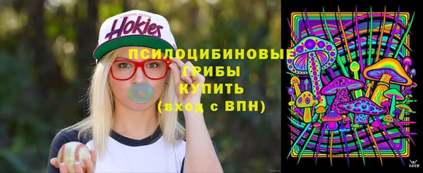 шишки Инта