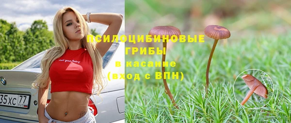 спиды Иннополис