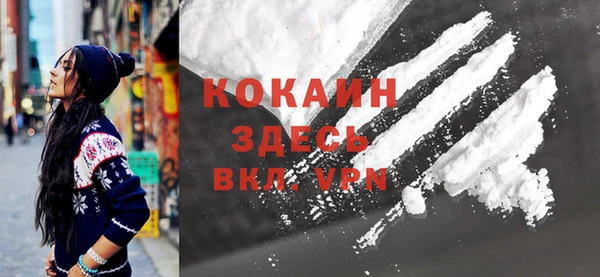 шишки Инта
