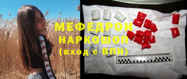шишки Инта