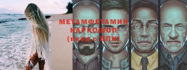 шишки Инта