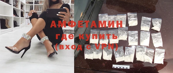 шишки Инта